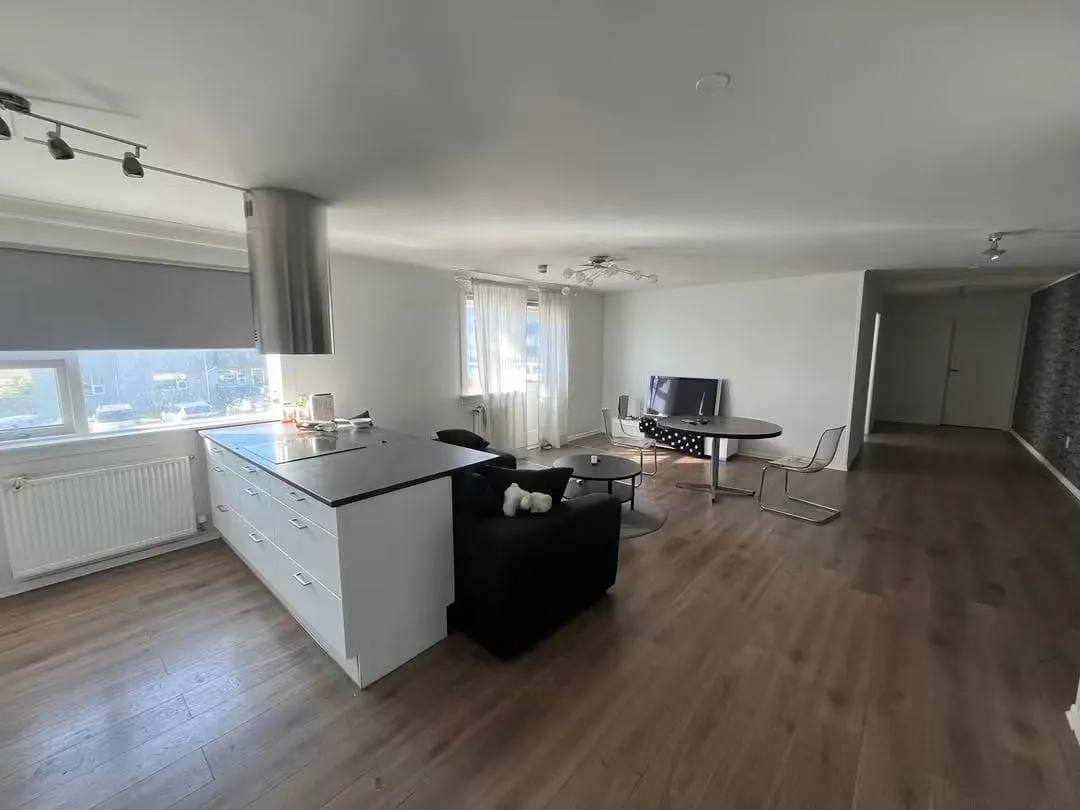 Flott íbúð laus 1 nóv 3
